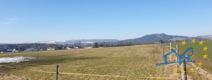 Louka 8.001 m2, Police nad Metují - Radešov