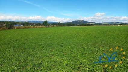 Louka 8.790 m2, Police nad Metují - Radešov