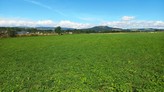 Louka 8.790 m2, Police nad Metují - Radešov