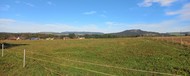 Louka 17.068 m2, Police nad Metují - Radešov