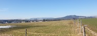 Louka 8.999 m2, Police nad Metují - Radešov