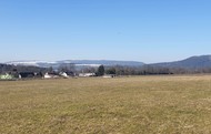 Louka 8.999 m2, Police nad Metují - Radešov