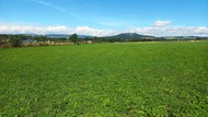 Louka 8.790 m2, Police nad Metují - Radešov